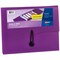 Avery Slide & View Expanding File Folder, 6 Pockets, Letter Size, 1 Plum Folder (73543)